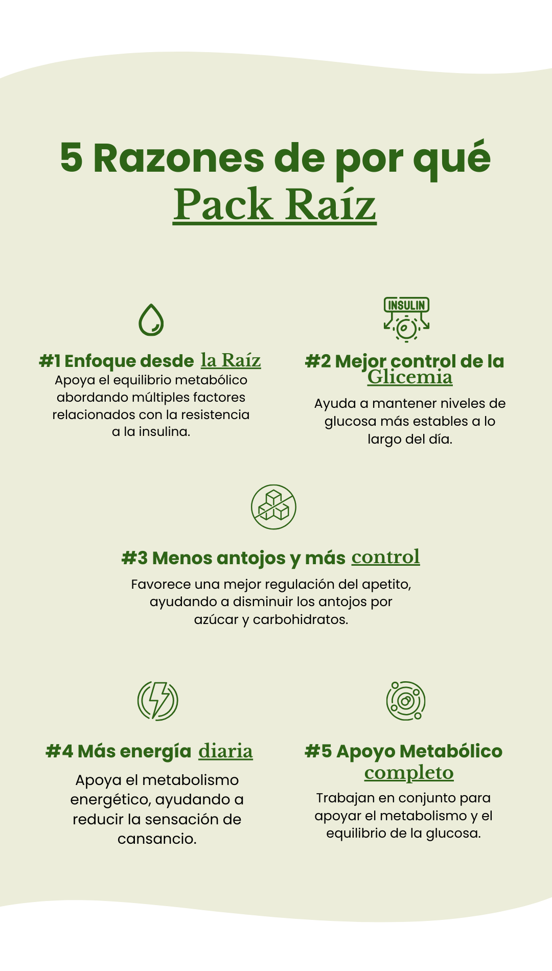 Descripción de la imagen