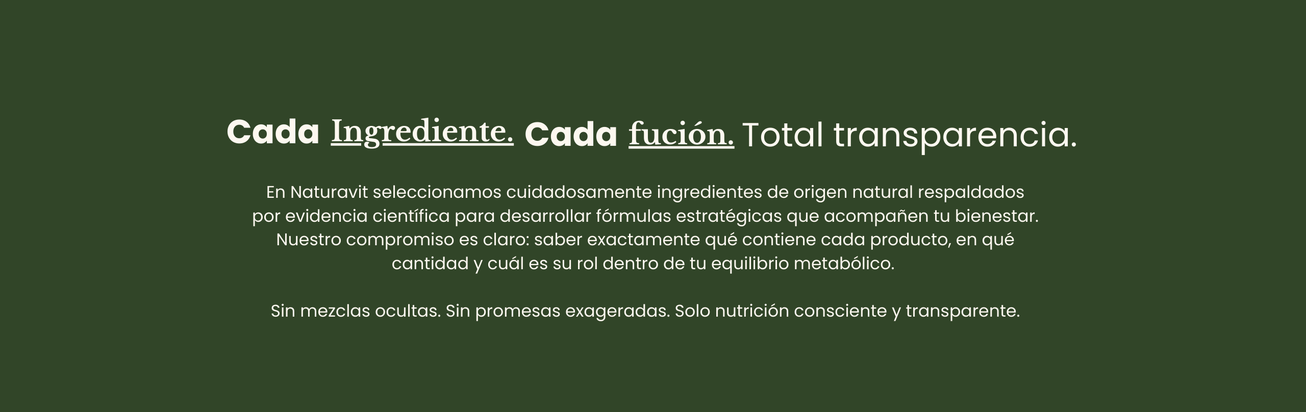 Descripción de la imagen