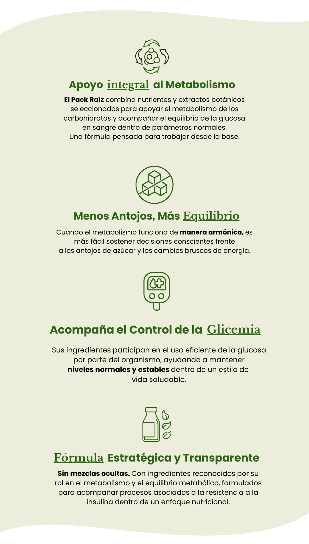 Descripción de la imagen