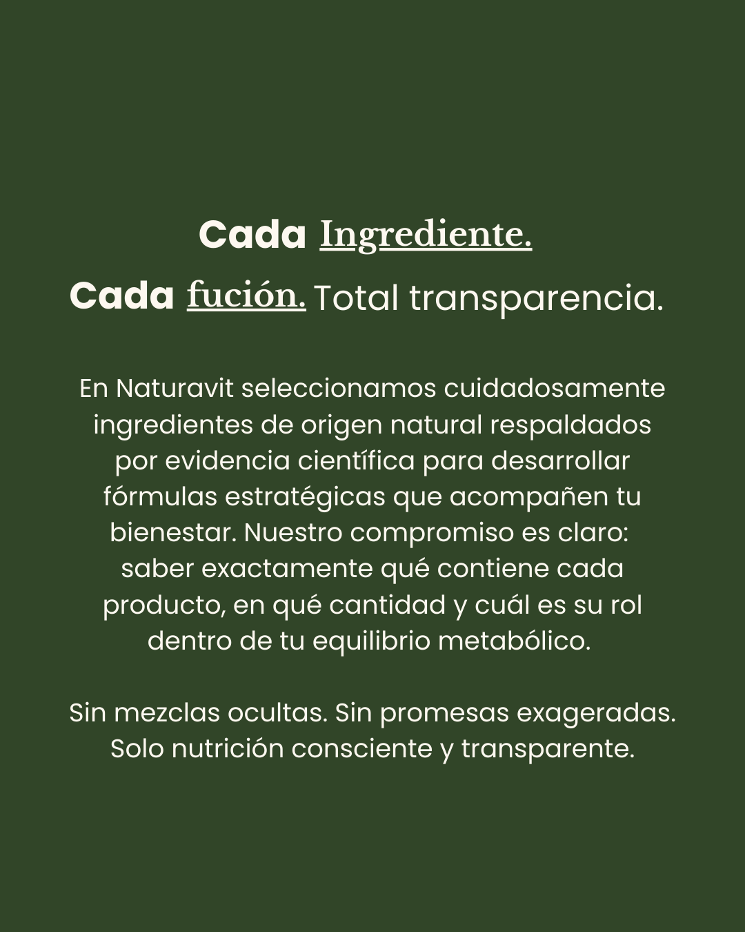 Descripción de la imagen